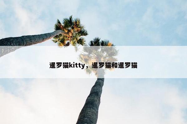 暹罗猫kitty，暹罗猫和暹罗猫