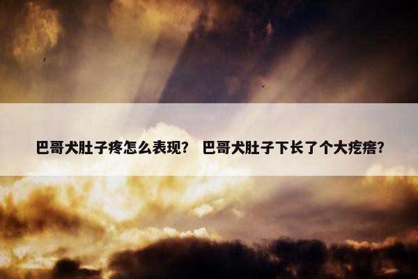 巴哥犬肚子疼怎么表现？ 巴哥犬肚子下长了个大疙瘩？