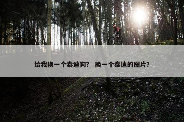 给我换一个泰迪狗？ 换一个泰迪的图片？