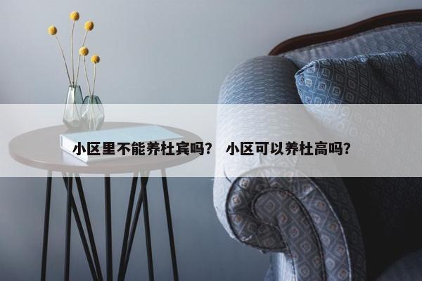 小区里不能养杜宾吗？ 小区可以养杜高吗？