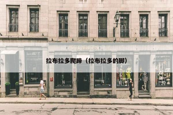 拉布拉多爬蹄（拉布拉多的脚）