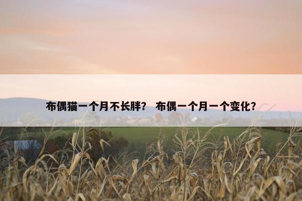 布偶猫一个月不长胖？ 布偶一个月一个变化？