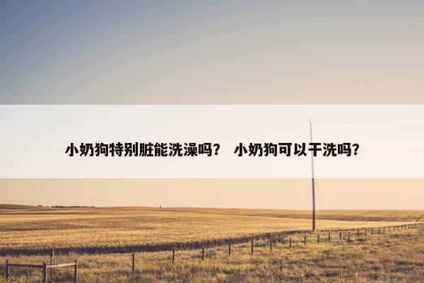 小奶狗特别脏能洗澡吗？ 小奶狗可以干洗吗？