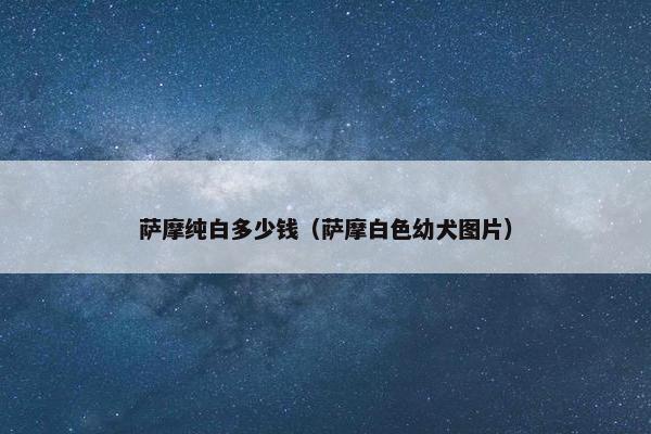 萨摩纯白多少钱（萨摩白色幼犬图片）
