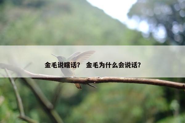 金毛说瞎话？ 金毛为什么会说话？