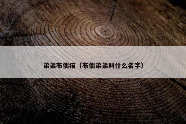 弟弟布偶猫（布偶弟弟叫什么名字）