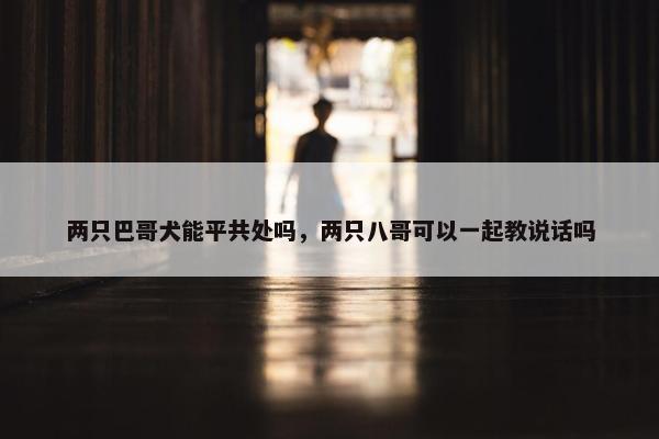 两只巴哥犬能平共处吗，两只八哥可以一起教说话吗