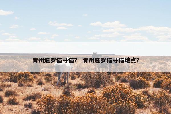 青州暹罗猫寻猫？ 青州暹罗猫寻猫地点？