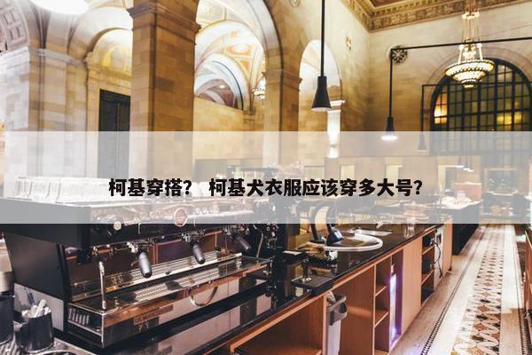 柯基穿搭？ 柯基犬衣服应该穿多大号？