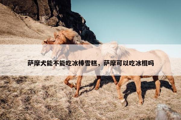 萨摩犬能不能吃冰棒雪糕，萨摩可以吃冰棍吗