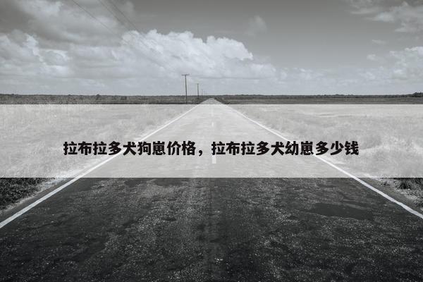 拉布拉多犬狗崽价格，拉布拉多犬幼崽多少钱