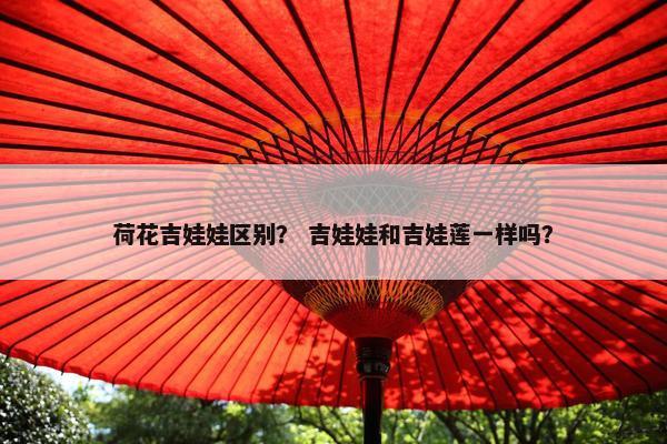 荷花吉娃娃区别？ 吉娃娃和吉娃莲一样吗？