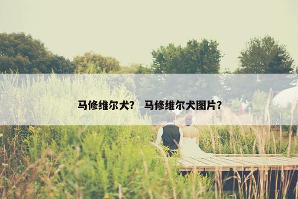 马修维尔犬？ 马修维尔犬图片？