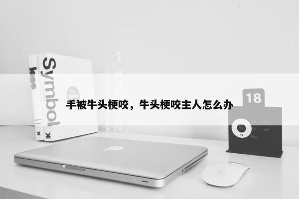 手被牛头梗咬，牛头梗咬主人怎么办