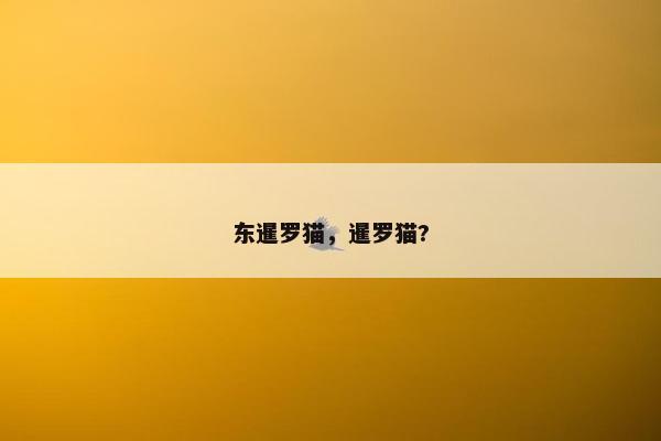 东暹罗猫，暹罗猫?