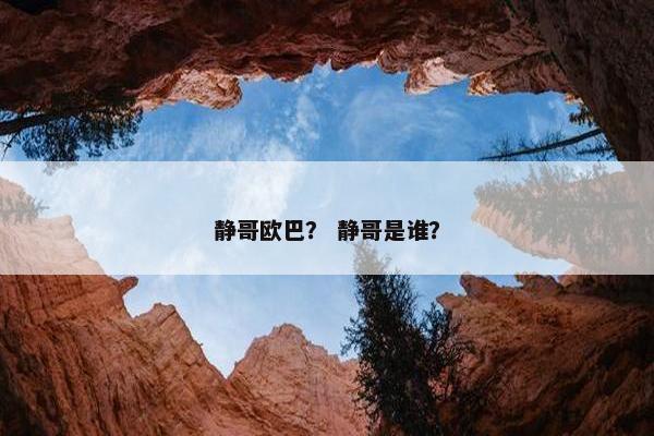 静哥欧巴？ 静哥是谁？