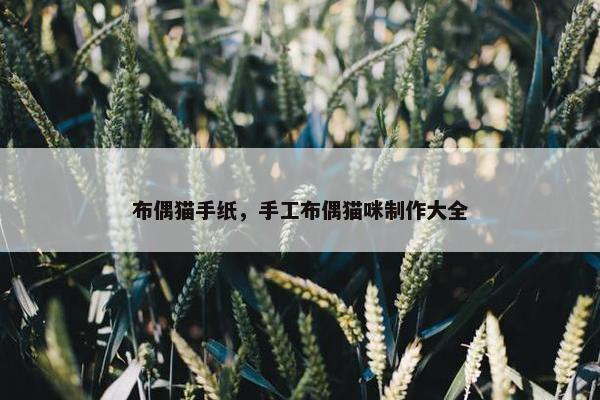 布偶猫手纸，手工布偶猫咪制作大全