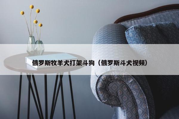 俄罗斯牧羊犬打架斗狗（俄罗斯斗犬视频）