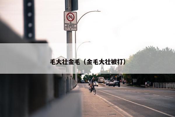 毛大壮金毛（金毛大壮被打）