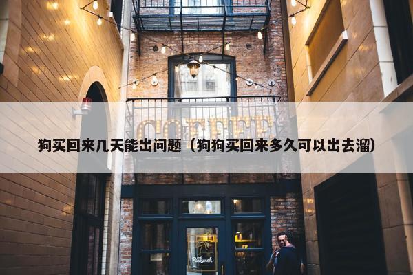 狗买回来几天能出问题（狗狗买回来多久可以出去溜）