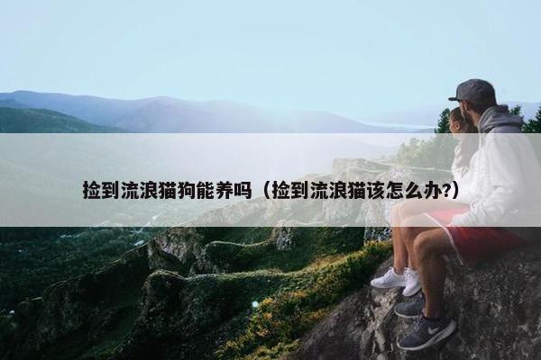 捡到流浪猫狗能养吗（捡到流浪猫该怎么办?）