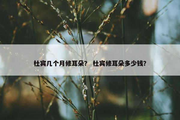 杜宾几个月修耳朵？ 杜宾修耳朵多少钱？