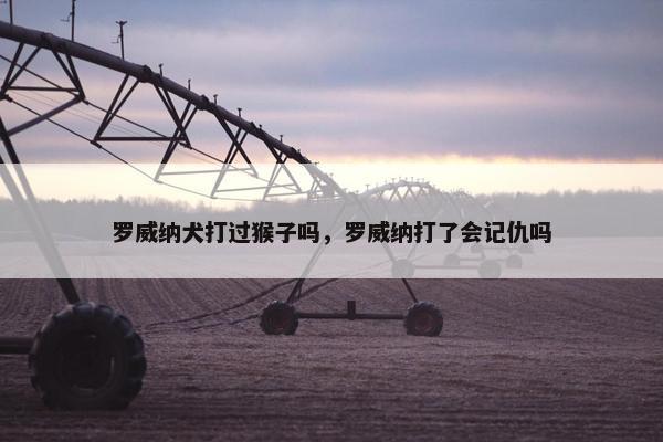 罗威纳犬打过猴子吗，罗威纳打了会记仇吗