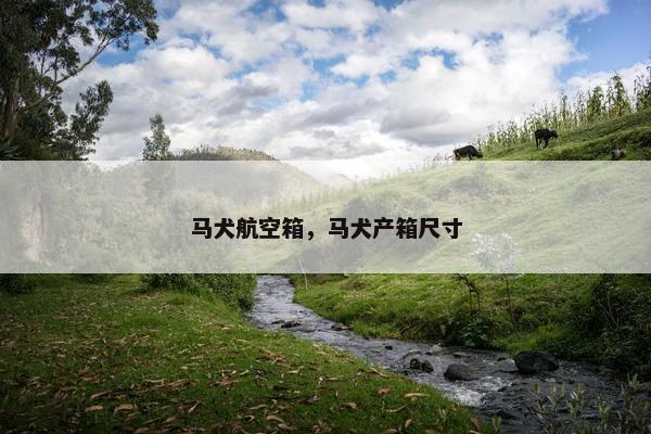 马犬航空箱，马犬产箱尺寸