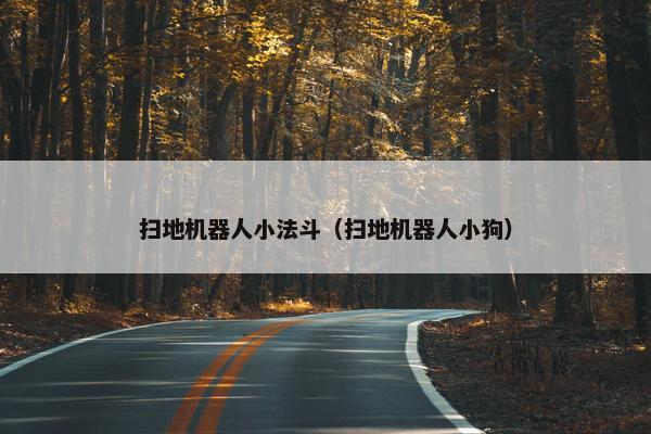 扫地机器人小法斗（扫地机器人小狗）