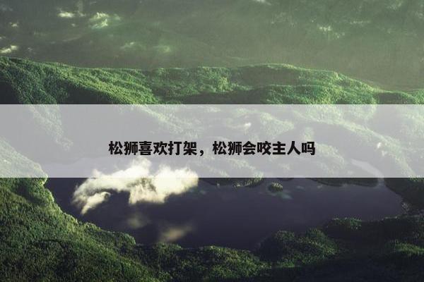 松狮喜欢打架，松狮会咬主人吗