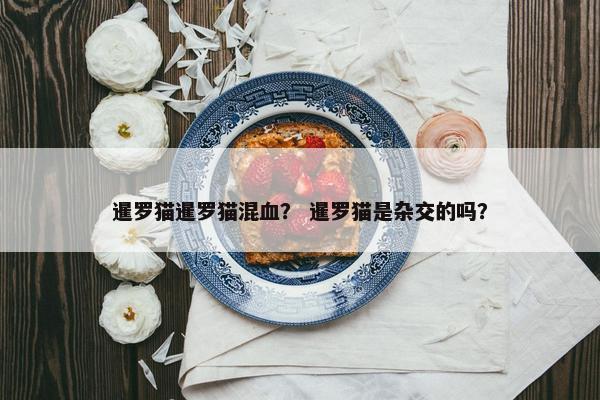 暹罗猫暹罗猫混血？ 暹罗猫是杂交的吗？
