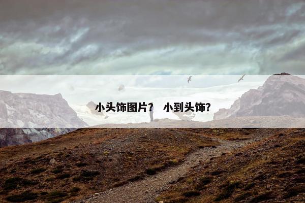 小头饰图片？ 小到头饰？