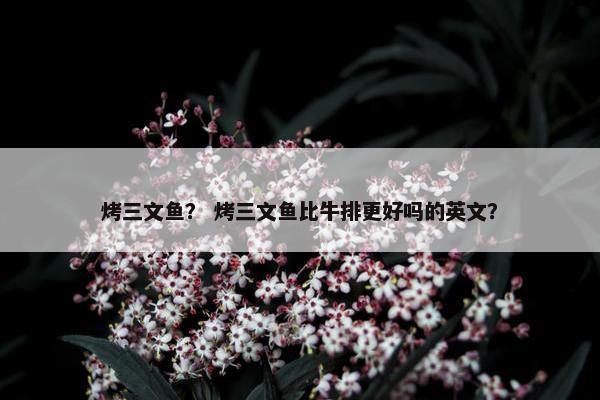 烤三文鱼？ 烤三文鱼比牛排更好吗的英文？