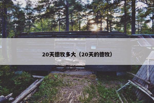 20天德牧多大（20天的德牧）
