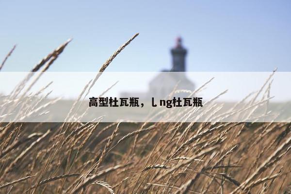 高型杜瓦瓶，乚ng杜瓦瓶