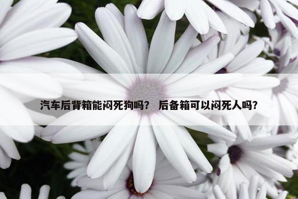 汽车后背箱能闷死狗吗？ 后备箱可以闷死人吗？