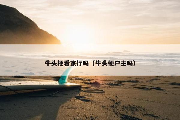 牛头梗看家行吗（牛头梗户主吗）