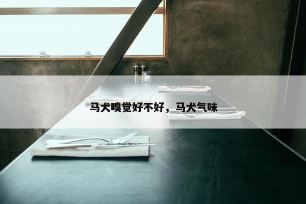 马犬嗅觉好不好，马犬气味