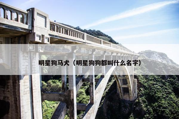 明星狗马犬（明星狗狗都叫什么名字）