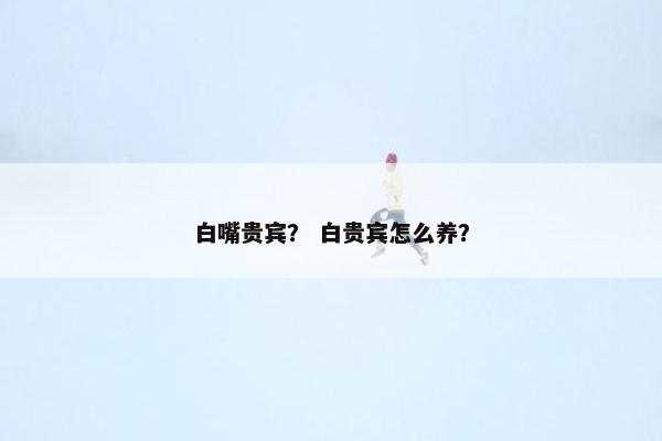 白嘴贵宾？ 白贵宾怎么养？