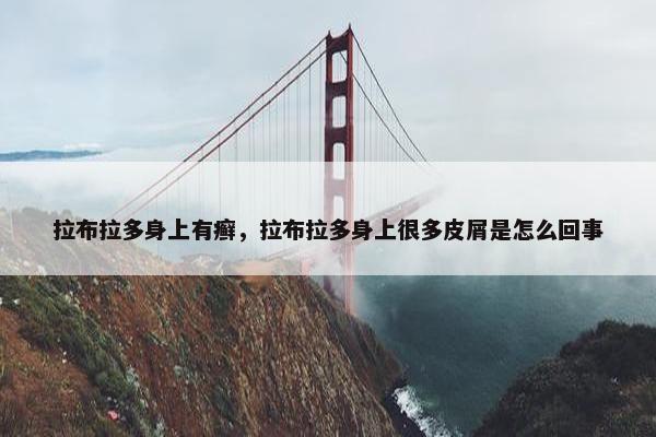 拉布拉多身上有癣，拉布拉多身上很多皮屑是怎么回事