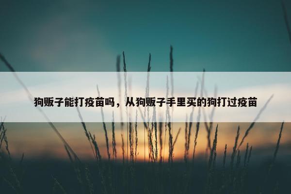 狗贩子能打疫苗吗，从狗贩子手里买的狗打过疫苗