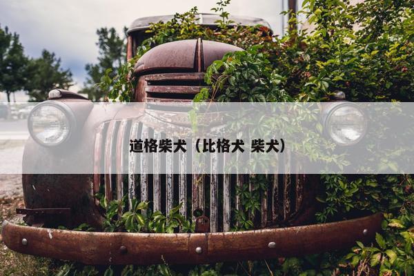 道格柴犬（比格犬 柴犬）