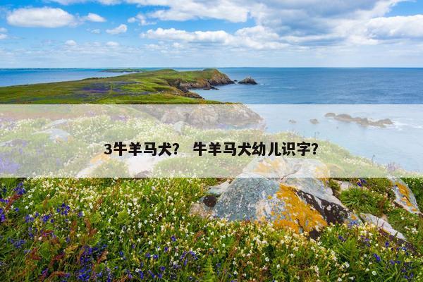 3牛羊马犬？ 牛羊马犬幼儿识字？