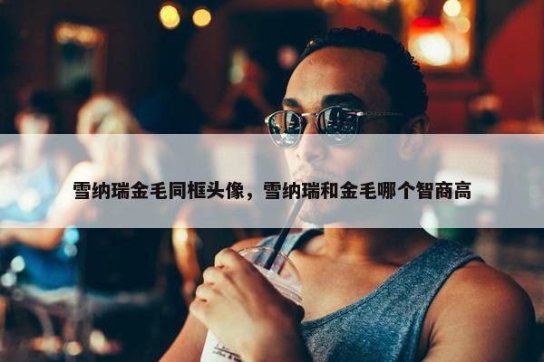 雪纳瑞金毛同框头像，雪纳瑞和金毛哪个智商高