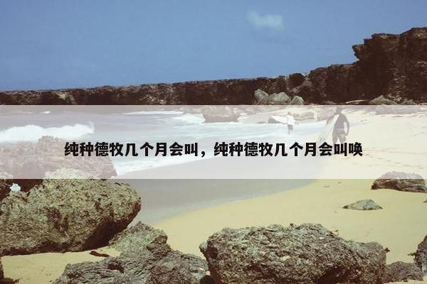 纯种德牧几个月会叫，纯种德牧几个月会叫唤
