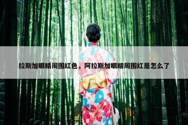 拉斯加眼睛周围红色，阿拉斯加眼睛周围红是怎么了