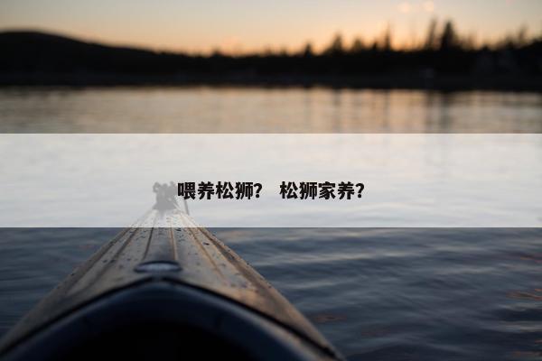 喂养松狮？ 松狮家养？
