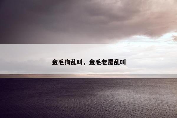 金毛狗乱叫，金毛老是乱叫