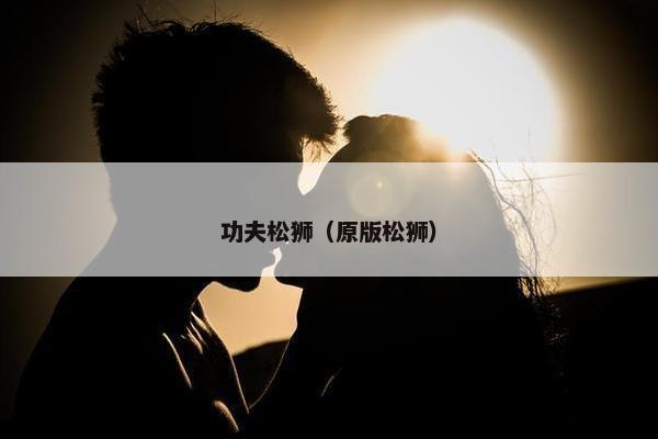 功夫松狮（原版松狮）